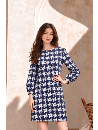 Sofia Clarisse Navy Dress