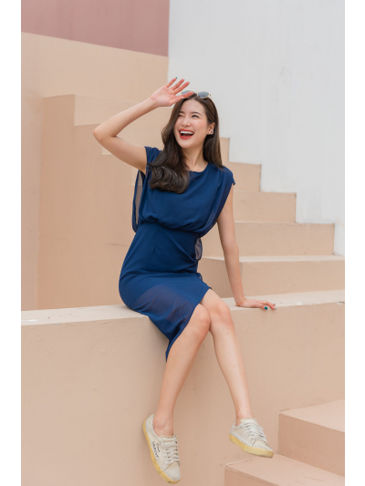 Bency Navy Dress