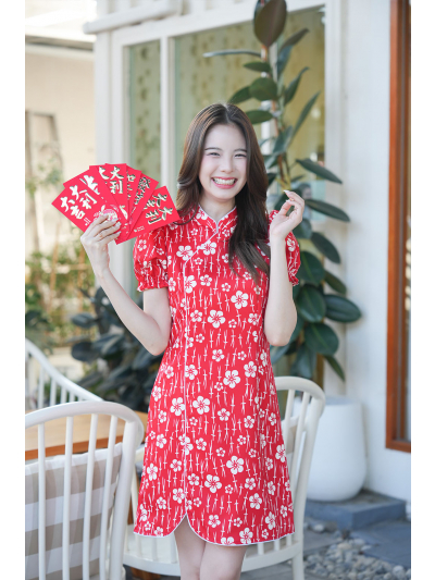 Qi Pao Bella Dress
